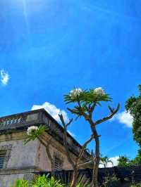 🏛️ Vizcaya Museum & Gardens – Miami’s Timeless Treasure 🌸