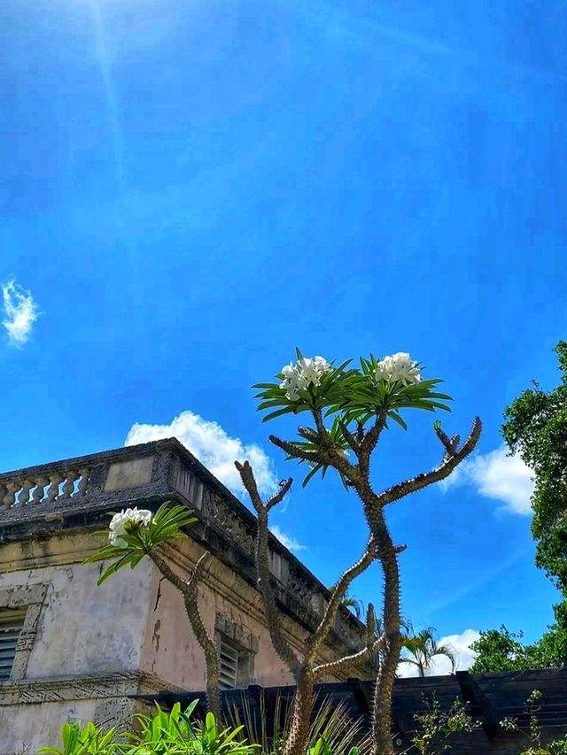 🏛️ Vizcaya Museum & Gardens – Miami’s Timeless Treasure 🌸