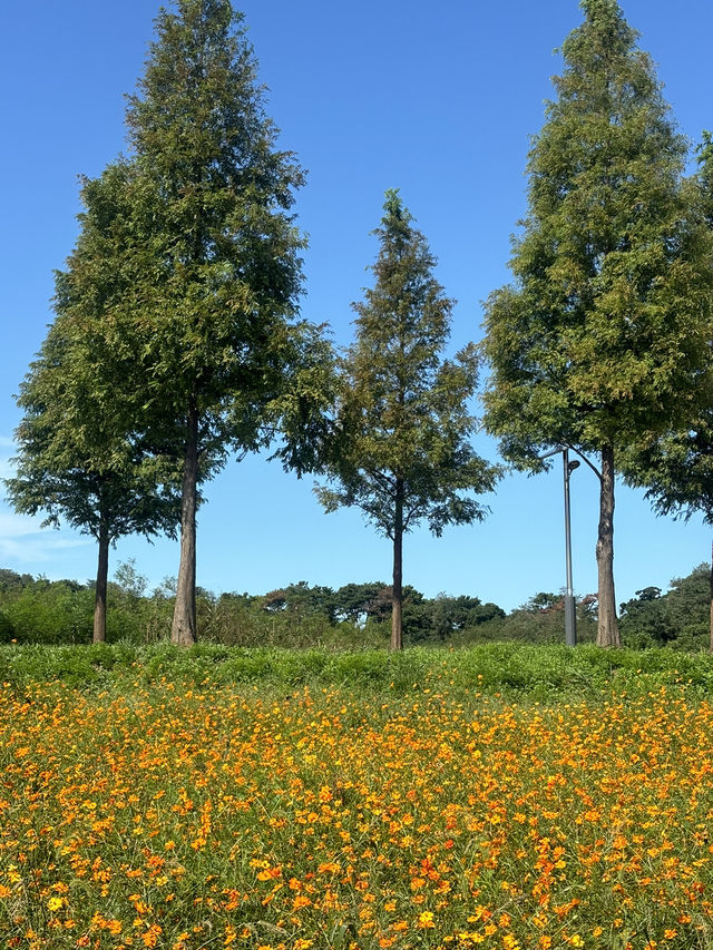 마라톤 데이트 마라톤 데이트