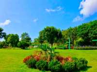 Green Escape in the City: Discovering Jordan Valley Park