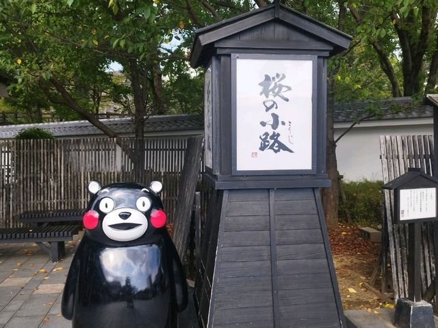 海賊王、熊本熊巡禮 海賊王、熊本熊巡禮