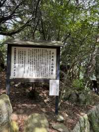 【広島】尾道市内と海が見渡せるお寺✨️