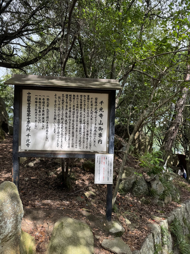 【広島】尾道市内と海が見渡せるお寺✨️