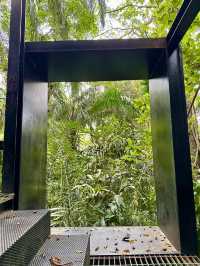 Urban Jungle Walk🌳  Taman Tugu