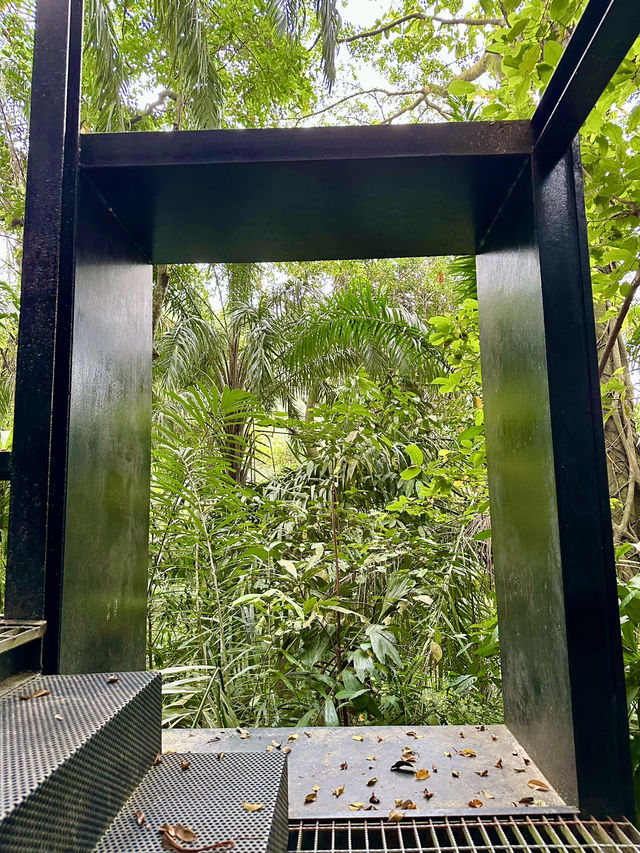Urban Jungle Walk🌳  Taman Tugu