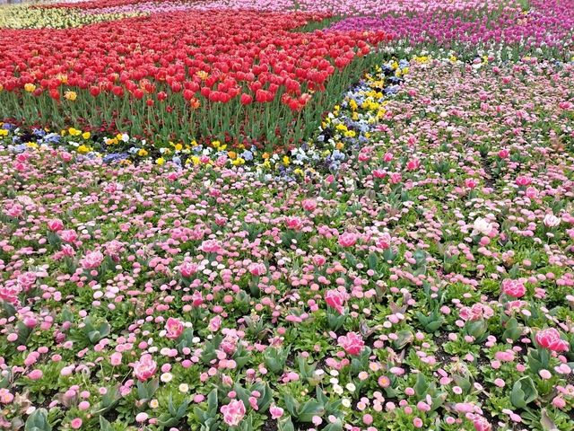 💐Floriade Day Part 1💐