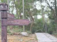黃泥涌峽徑：重踏戰火記憶，尋找英雄足跡