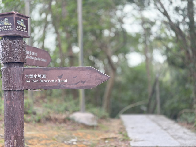 黃泥涌峽徑：重踏戰火記憶，尋找英雄足跡