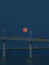 A Pearl in a Neon Sea: Macau's Modern Moonrise