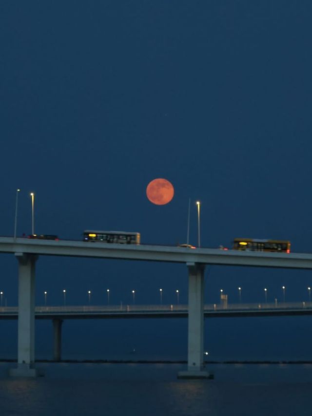 A Pearl in a Neon Sea: Macau's Modern Moonrise