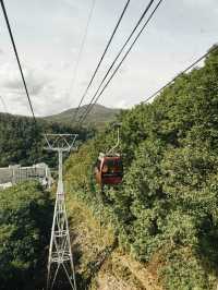🐻✨【熊熊揮手Say Hi!】登別熊牧場親子放電大冒險!纜車上山睇靚景、餵熊熊互動超有趣、仲有鴨仔賽跑同小熊萌爆登場~一家大細一齊出發,開心又放電!