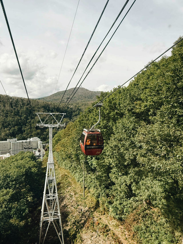 🐻✨【熊熊揮手Say Hi!】登別熊牧場親子放電大冒險!纜車上山睇靚景、餵熊熊互動超有趣、仲有鴨仔賽跑同小熊萌爆登場~一家大細一齊出發,開心又放電!  🐻✨【熊熊揮手Say Hi!】登別熊牧場親子放電大冒險!纜車上山睇靚景、餵熊熊互動超有趣、仲有鴨仔賽跑同小熊萌爆登場~一家大細一齊出發,開心又放電!