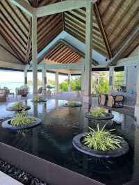 Hilton Maldives Amingiri Resort & Spa, Tropical Luxury with a Personal Touch