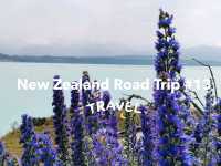 🇳🇿 New Zealand Road Trip - เล่าเรื่องด้วยภาพ#13
