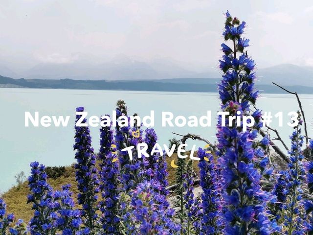 🇳🇿 New Zealand Road Trip - เล่าเรื่องด้วยภาพ#13