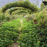 Claude Monet's House and Gardens - Giverny