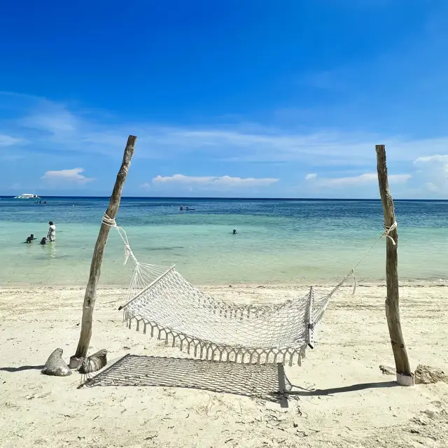 Scuba Diving in Panglao