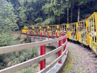 宜蘭 太平山蹦蹦車