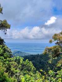 Discover Mount Pulai Escape⛰️Cloudy Pulai Trails