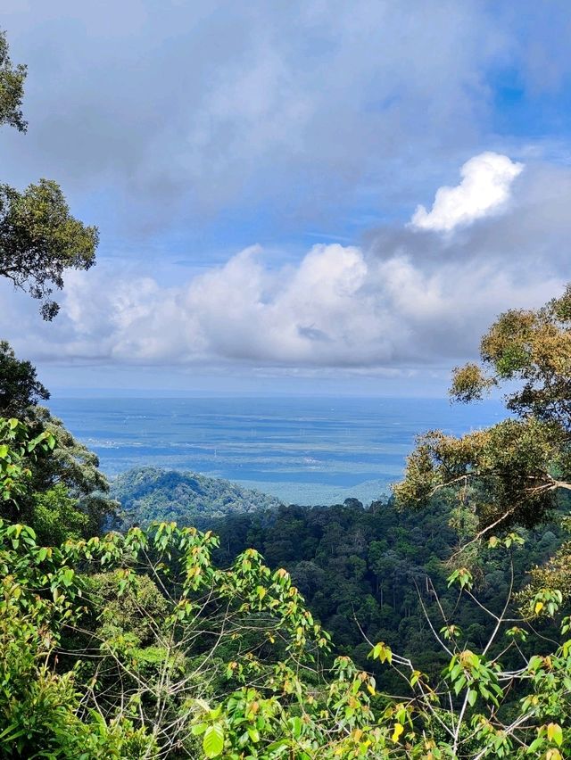 Discover Mount Pulai Escape⛰️Cloudy Pulai Trails
