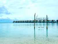 Where Island Luxury Meets Rockstar Energy