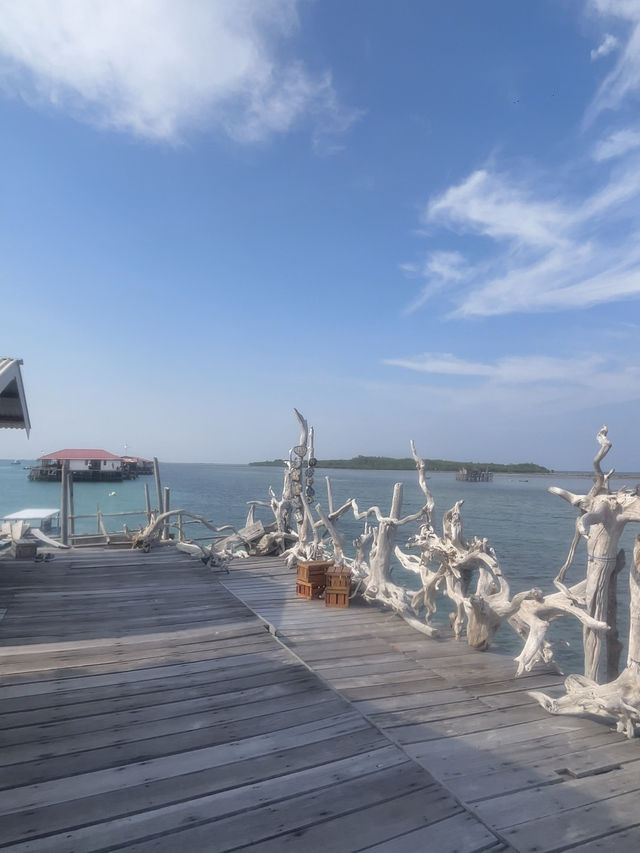 Pier Paradise Views🏝️ Pier Paradise Views🏝️