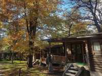 🍁ฤดูใบไม้เปลี่ยนสีที่ Karuizawa-machi