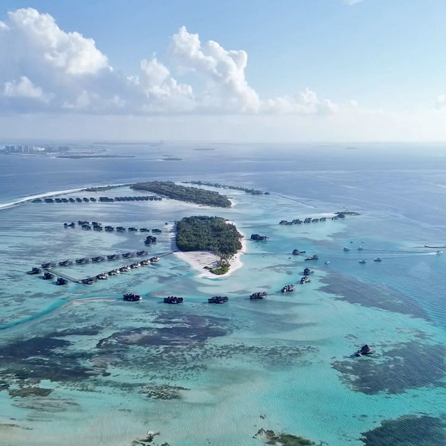 🏝️ Paradise found! Swaying palms, crystal waters, and endless sunsets — welcome to your dream escap 🏝️ Paradise found! Swaying palms, crystal waters, and endless sunsets — welcome to your dream escap