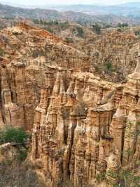 Stone forest