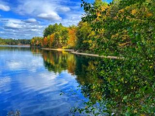 시간을 거슬러 걷기 – 월든 연못 주립 보호구역