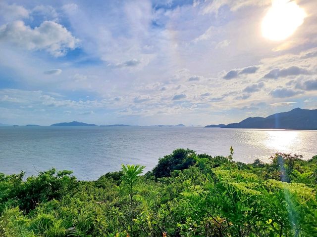 【鳳凰徑第9段~籮箕灣 ⭐】