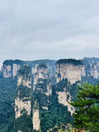🌄 Zhangjiajie National Forest Park Travel Guide | Avatar Mountains in Real Life