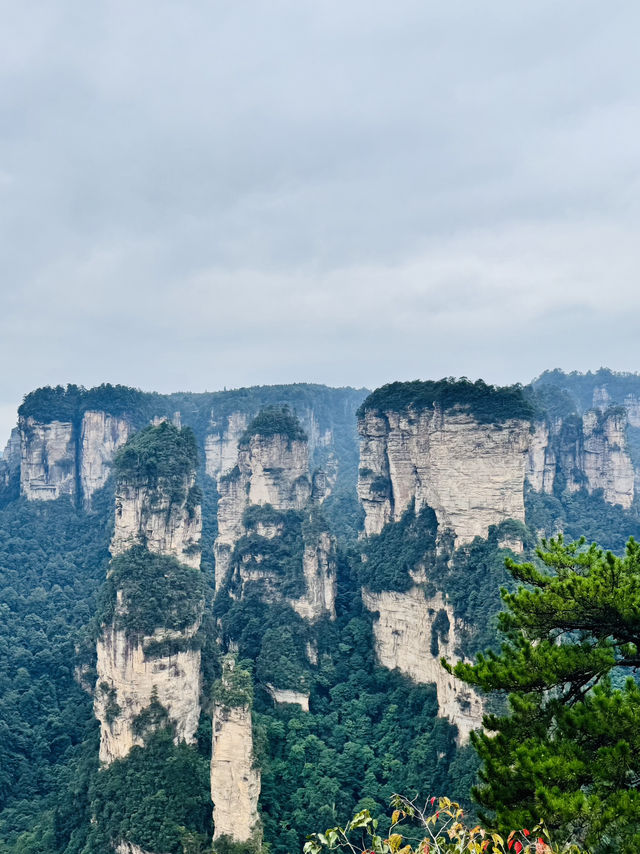 🌄 Zhangjiajie National Forest Park Travel Guide | Avatar Mountains in Real Life 🌄 Zhangjiajie National Forest Park Travel Guide | Avatar Mountains in Real Life