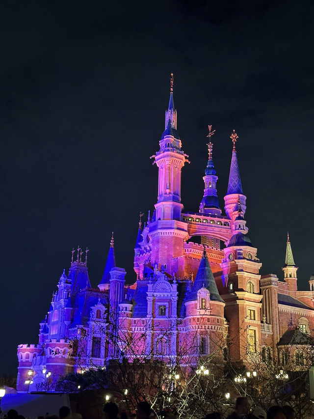 入園瞬間樂園氛圍滿分🥰 入園瞬間樂園氛圍滿分🥰