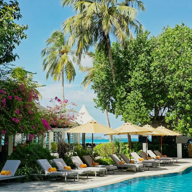 ✨ Sheraton Maldives Full Moon Resort & Spa: A Secluded Island Paradise 🌴 ✨ Sheraton Maldives Full Moon Resort & Spa: A Secluded Island Paradise 🌴