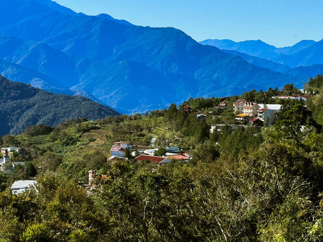 ⛅️清境天空步道：漫步在雲端的輕旅行