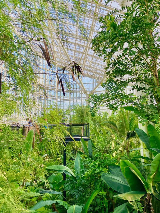 키치조지에서 우연히 찾은 도심 속 식물원 🌿 키치조지에서 우연히 찾은 도심 속 식물원 🌿