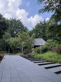 Strolling Around Shenzhen 🍂