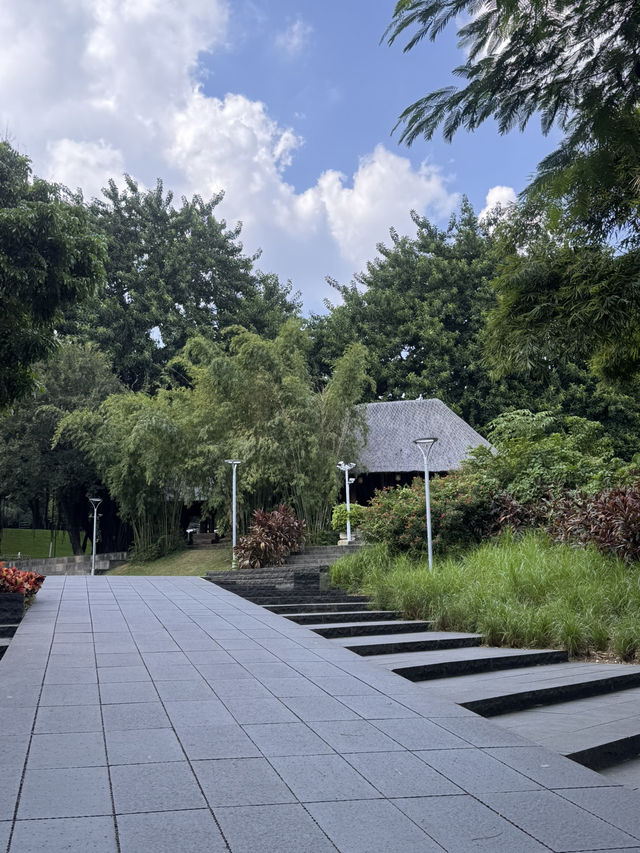 Strolling Around Shenzhen 🍂 Strolling Around Shenzhen 🍂