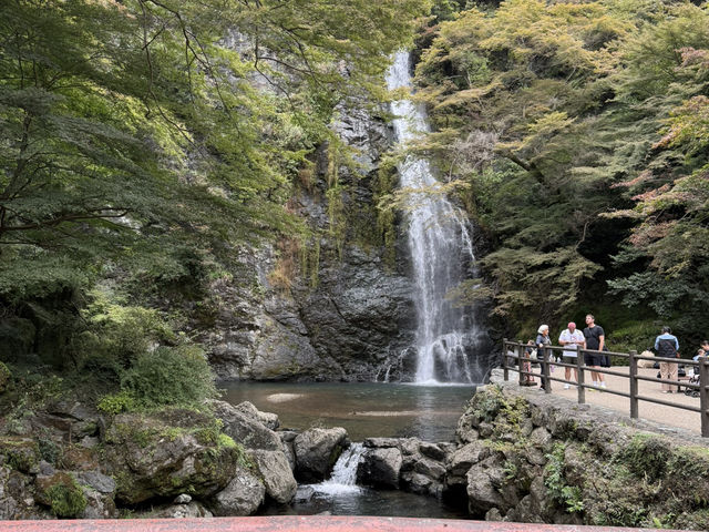 🌸大阪3日間の小旅行🌸