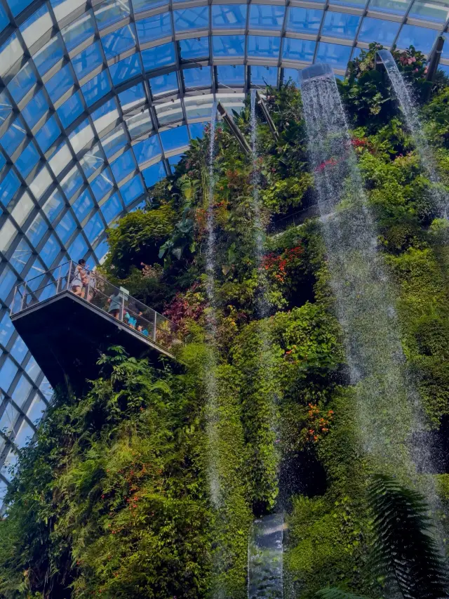 When you want to immerse yourself in nature in Singapore