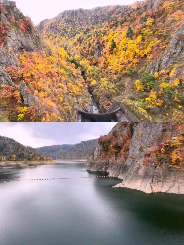 🍁札幌必打卡！深秋豐平峽水庫紅葉絕景全攻略