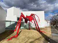 來青森、八戶，千萬不可錯過的「十和田市當代美術館」