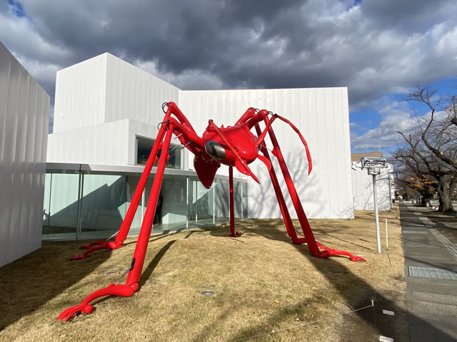 來青森、八戶，千萬不可錯過的「十和田市當代美術館」