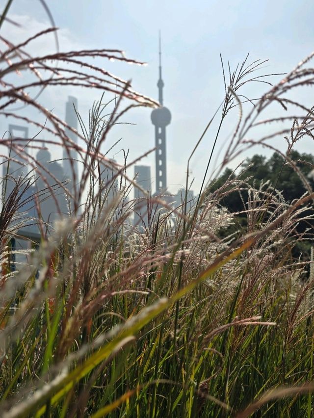 Shanghai’s Bund: The Ultimate Iconic Vibe 🏙️✨ Shanghai’s Bund: The Ultimate Iconic Vibe 🏙️✨