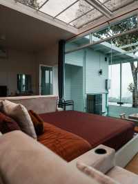 " ป่าเหนือหมอก ม่อนเงาะ Pa Nua Mok " 