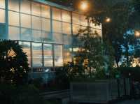 Golden-Hour Catch-Up: Why The Glasshopper Is Perfect for Afternoon Conversations