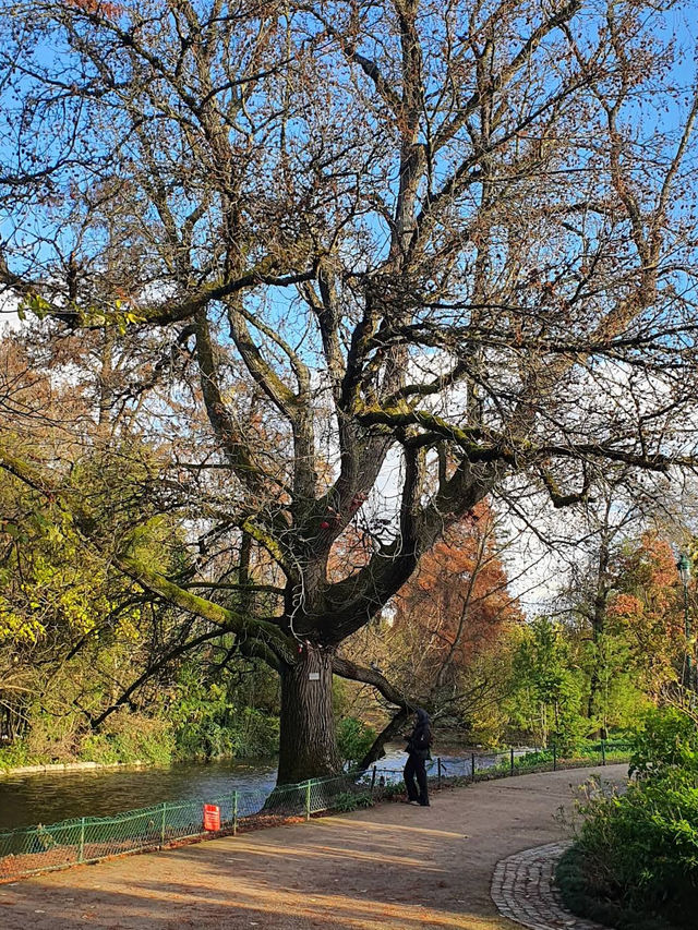 🌳 Public Garden – Jardin Public 🌳 Public Garden – Jardin Public