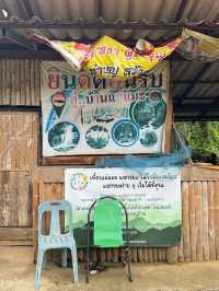 บ้านแม่แมะ เชียงดาว — หมู่บ้านกลางหุบเขาที่เงียบ