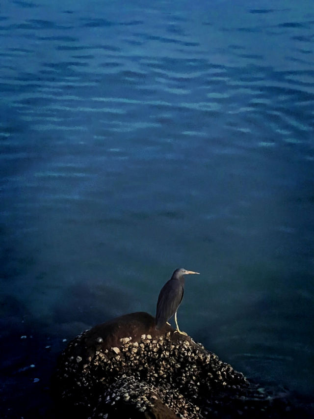 Ocean View Stay🌊  at Tanjung Aru